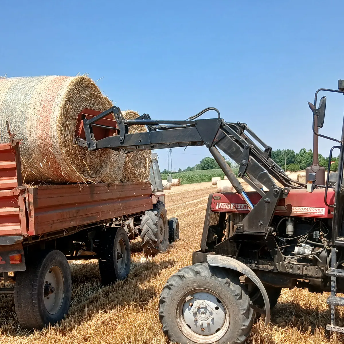 Utovar rolo bale lucerke na prikolicu