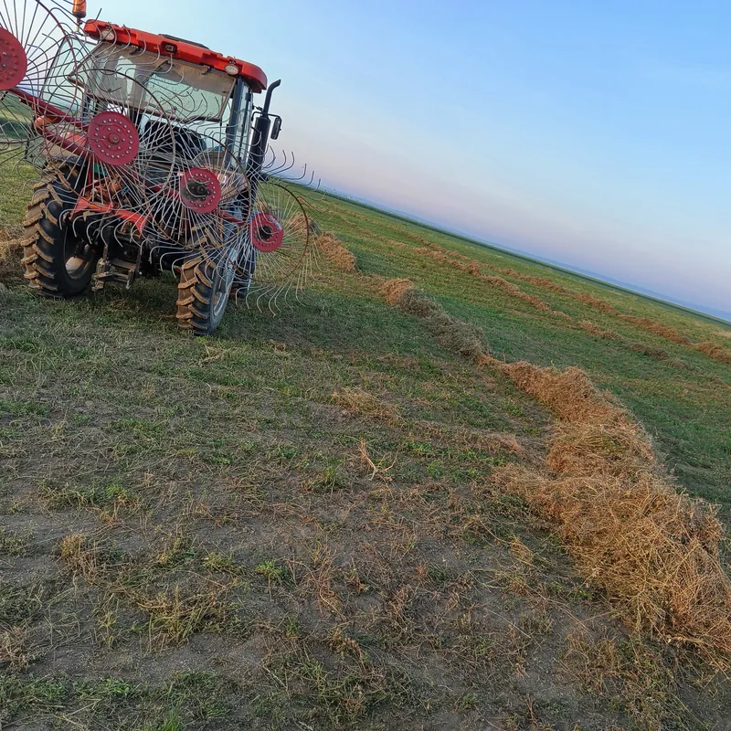 Traktor na njivi lucerke