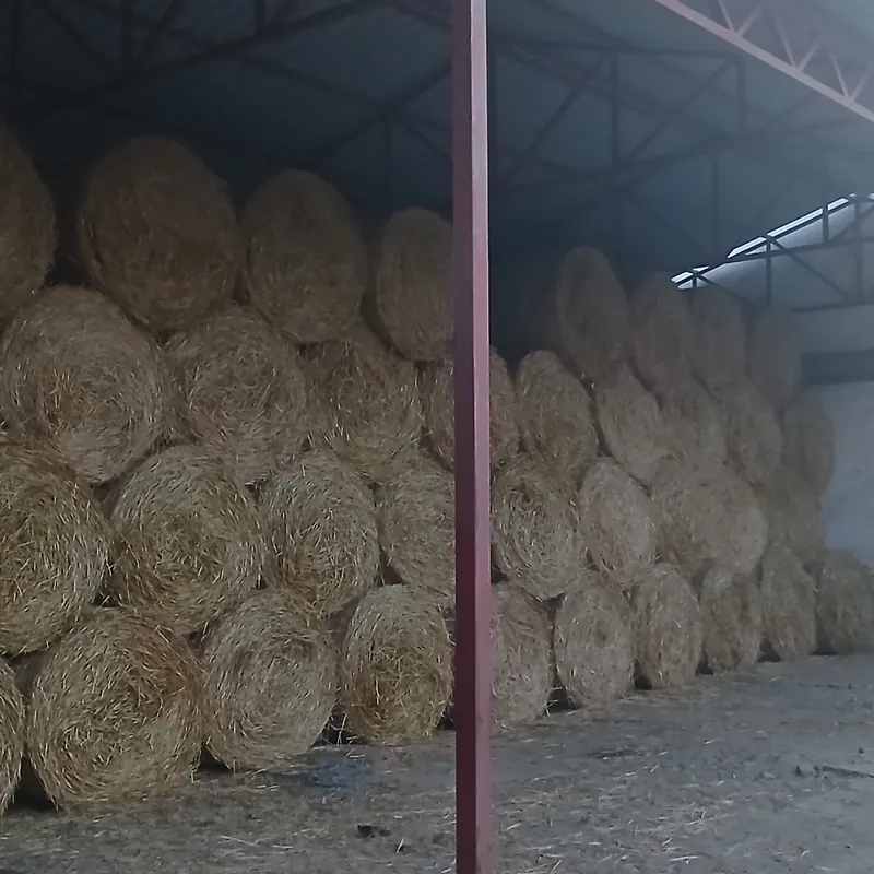 Rolo bale slame u magacinu