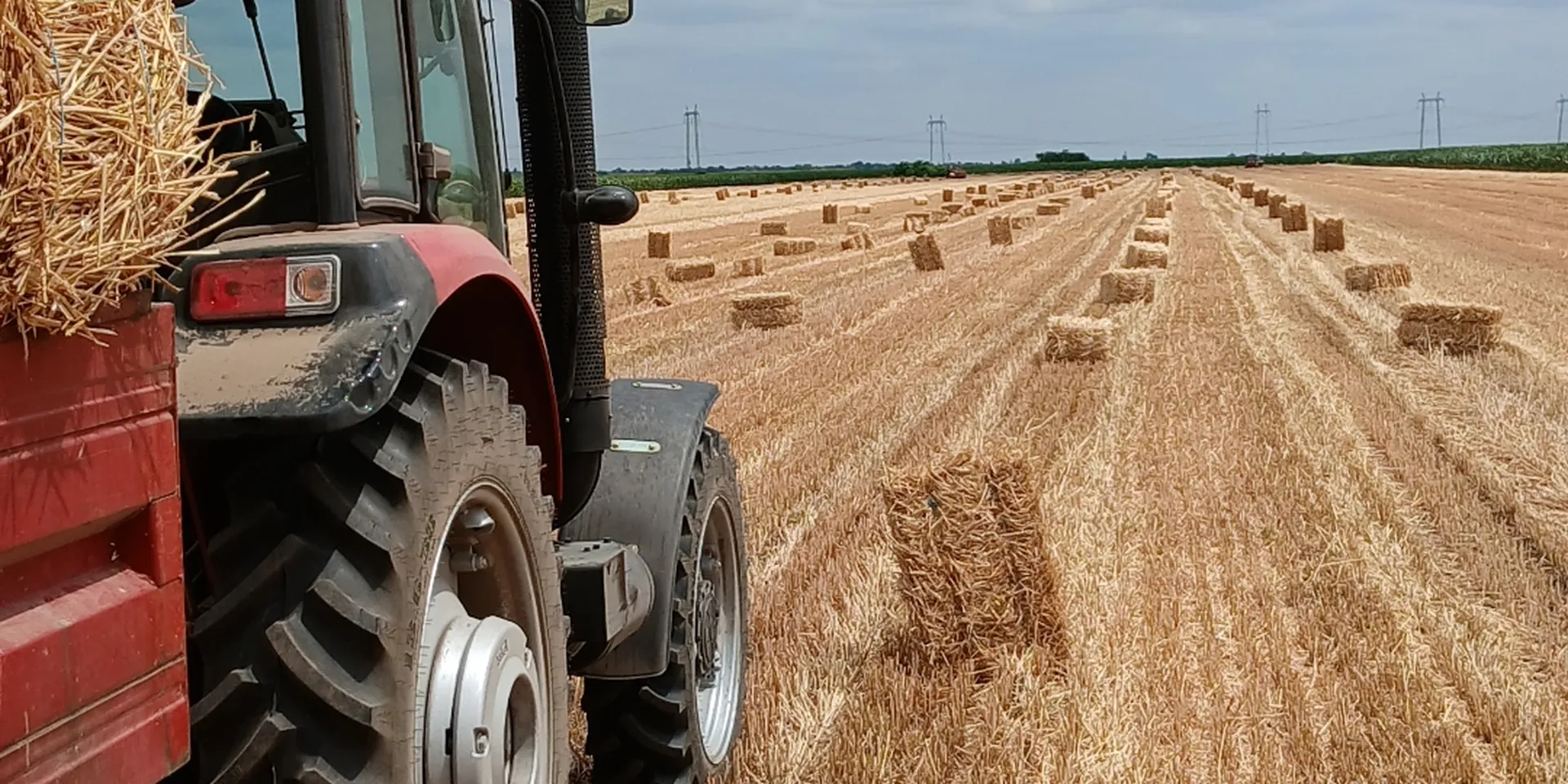 Traktor i bale slame na njivi